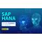 Introduction to SAP HANA: What are the Benefits of Using it