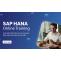 Introduction to SAP HANA: Features &amp; Benefits