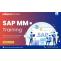 SAP Materials Management