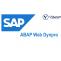 SAP ABAP Web Dynpro Certification Online Training - VISWA