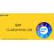 SAP Customers List | LogiChannel