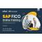 What Makes SAP FICO Different from Other Products?