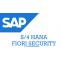 SAP S4 Hana Fiori Security Training | SAP Fiori Security
