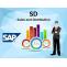 Boost Your Sales and Distribution Efficiency with SAP SD Certification