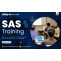 SAS Courses Online