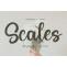 Scales Font Free Download OTF TTF | DLFreeFont