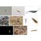 Silverfish Control Melbourne