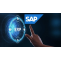 Career as an SAP Consultant