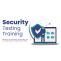 How To Do Security Testing?