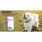 Selehold - Topical Multi-Spectrum Treatment for Dogs - CanadaVetExpress - Pet Care Tips