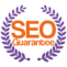 SEO Services Delhi | BrainCube - Money Back Guarantee