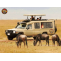 Discover Tanzania with the Best Safari Operators