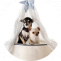 Global Pet Movers - AirPets India