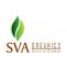 Frankincense Serrata Essential Oil by SVA Naturals