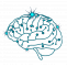IT Consulting Services - BrainCave Soft