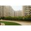 Ajnara Daffodil Sector-137 Noida | 9711836846 | 2/3BHK Apartments