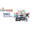 Best Digital Marketing( SEO, SMO) and Website Design Services Agency: The Best Social Media Optimization Services - Digital Hub Solution