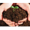 Crop requirements for the main characteristics of the soil