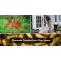 Natural ways to eliminate termites from your house