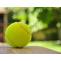 Tennis Ball Exporters in India | Nexus Sports India