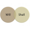 Difference between the &quot;will&quot; and &quot;shall&quot;