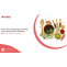 Benefits of Sales Force Automation Software For The Spices Industry? |