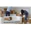 Top Reasons to Hire Licensed Packers and Movers