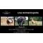 African Wildlife Exports — Get the South African wildlife live animal...
