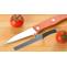 Kitchen Knife Guide: How to Choose the Perfect Knife