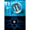 Hire Profesional WordPress Development Service - The Quantum Tech