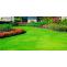 Garden Clearance: How to idea your garden clearance &#8211; Rubbish and Garden Clearance &#8211; London &amp; Surrey