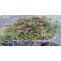 How to Avoid Garden Clearance Accumulation?