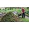 Garden Clearance: Four Ways to Get Rid Of Large Garden Waste &#8211; Rubbish and Garden Clearance &#8211; London &amp; Surrey