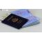 USA Passport Application: A Complete Guide to the US Passport Application Process