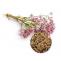 valerianrootextract valerianrootpowder organicvalerianextractpowder valerianrootpowderbulk wholesaleherbvendors herbalextractwholesale herbalwholesalers