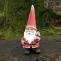   Pixieland Roger Resin Garden Gnome - Traditional Garden Ornament from Your Garden