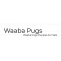 Waaba Pugs - Waabapugs Dogs & Puppies for Sale