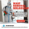 Wasp Removal Melbourne