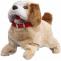  Buy Webby Fantastic Jumping Puppy Toy At Amazon.in - Best Baby Product 