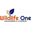 Wildlife One here Read, Watch and Listen To Nature | Wildlifeone