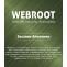 Webroot.com/safe | Enter Webroot Key Code - Webroot Install