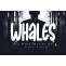 Whales Font Free Download OTF TTF | DLFreeFont