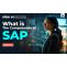 SAP Components