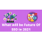 What Will Be The Future Of SEO To Grow Your Blog In 2021? &raquo; Askjitendrakumar.com