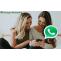 Whatsapp Marketing Messenger Software | Whatsapp Marketing Software