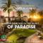 new city paradise