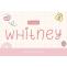 Whitney Font Free Download OTF TTF | DLFreeFont