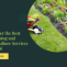 Best gardening and horticulture services in India | Darks