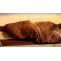 Wild Turkey Breast Recipe | AalikInfo