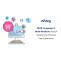 Wizzy's Multi-Language & Multi-Attribute Search Solutions to Enhance User Experience